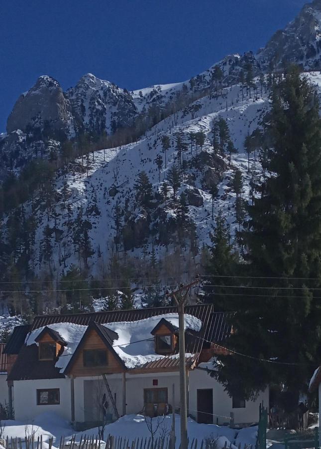 Hotel Bujtina Albjoni à Valbone Extérieur photo